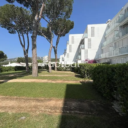 Apartment Politur K-5